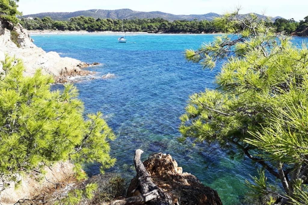 T2 Clim Parking, Entre Nature Et Plage Йер Экстерьер фото